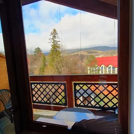 Family Raj Pod Sosnami Centrum Miasta! 公寓