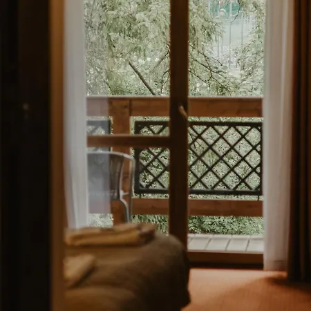 Family Raj Pod Sosnami Centrum Miasta! 公寓 *