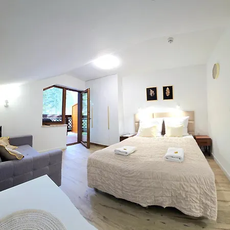 Family Raj Pod Sosnami Centrum Miasta! Апартаменты *