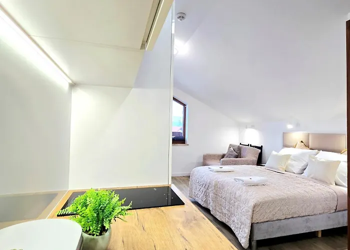 Family Raj Pod Sosnami Centrum Miasta! Apartment